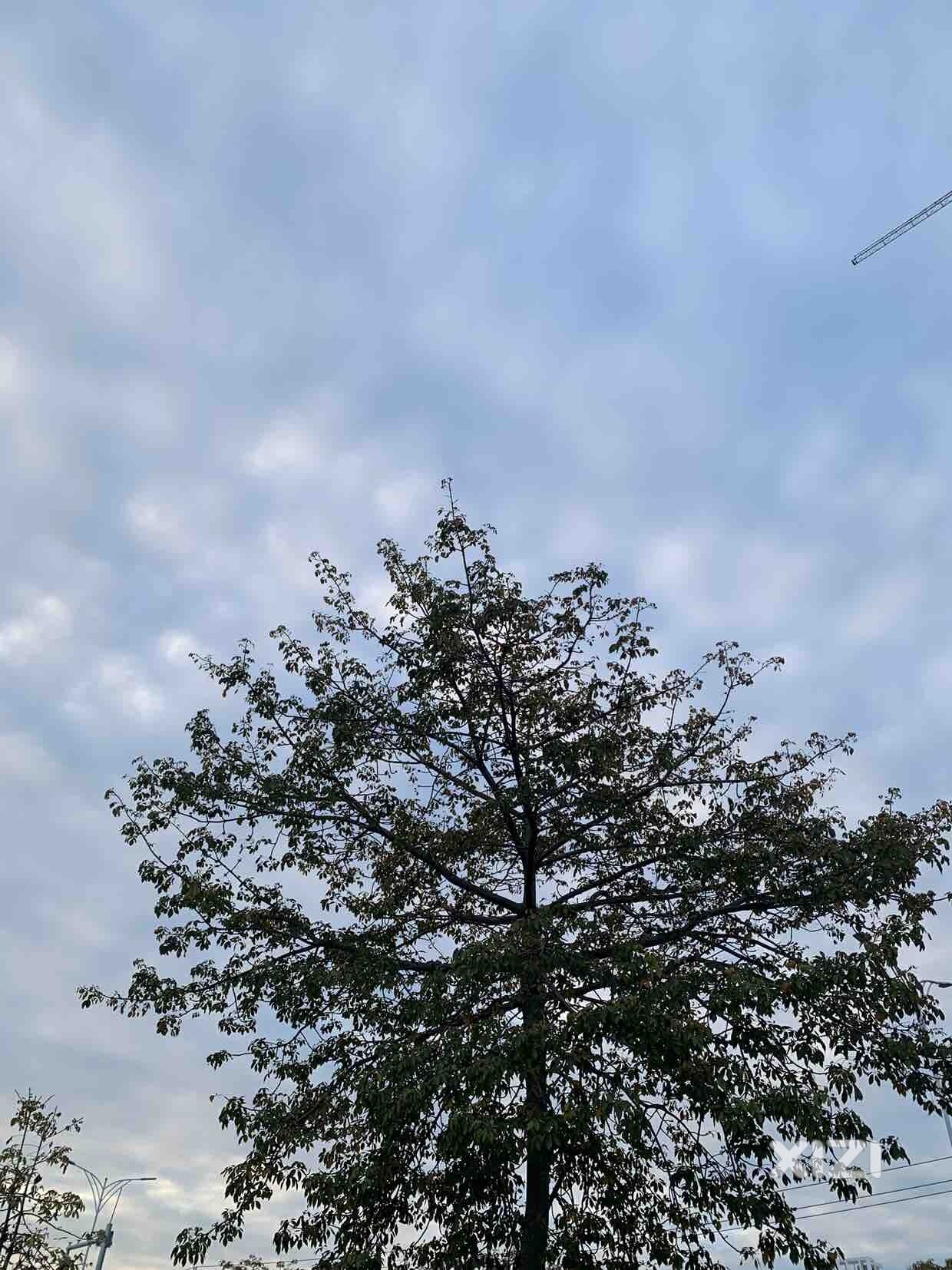 感觉城区最近的灰尘有