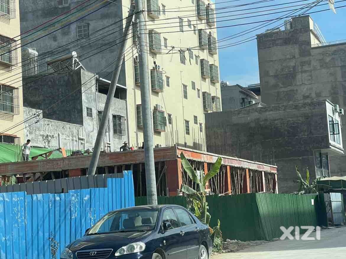 打击保护伞