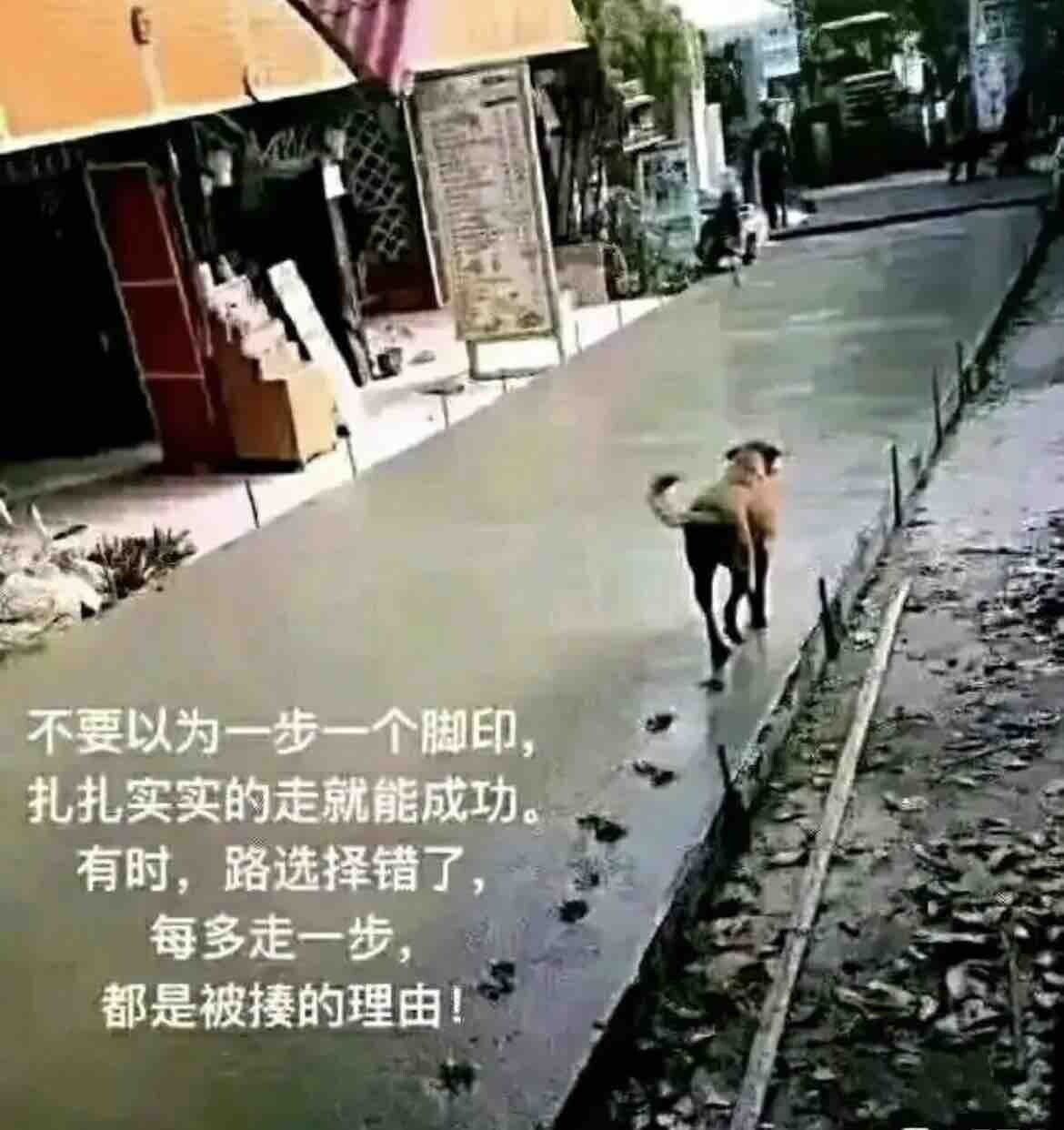 毒药