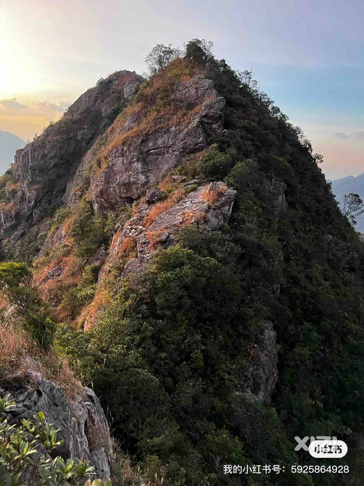 明天继续走爱心路线