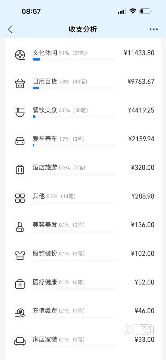 看看自己一个月的花费