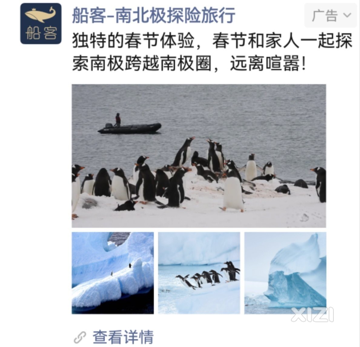 北极 or 南极
