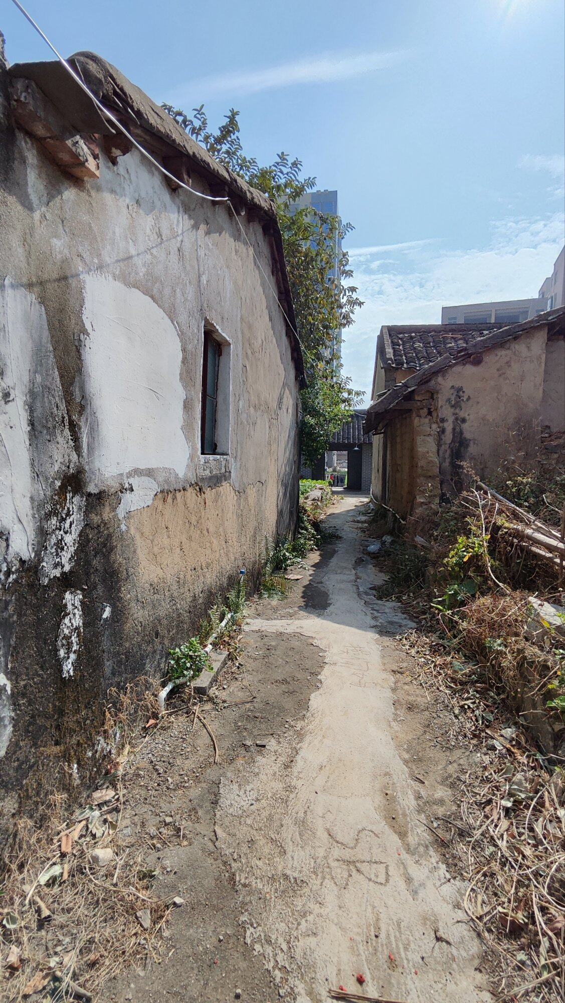 故土情浓赋（之十一）