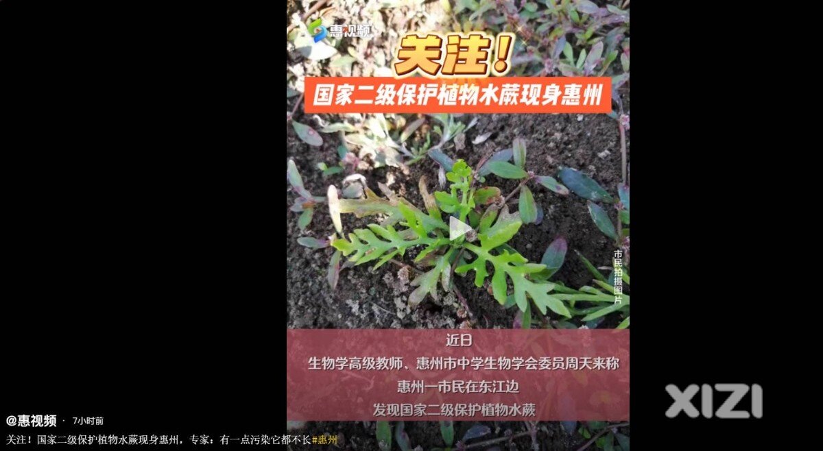 惠州环境好，出现二级保护