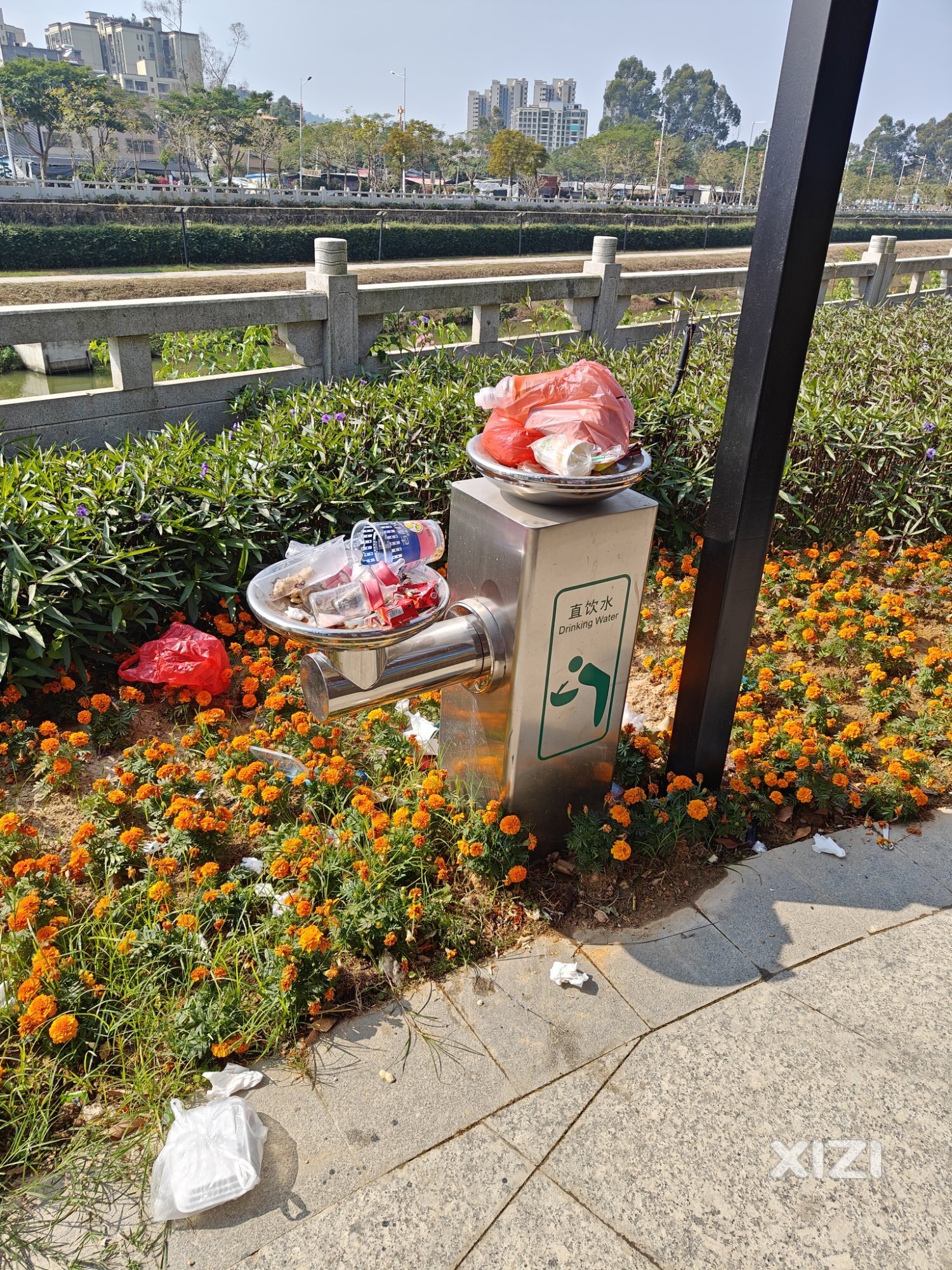 黄排河绿化公园没垃圾桶