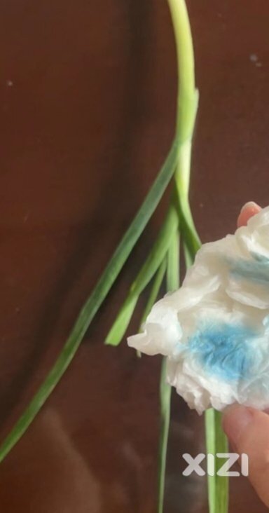 几次买的菜都有药物残留