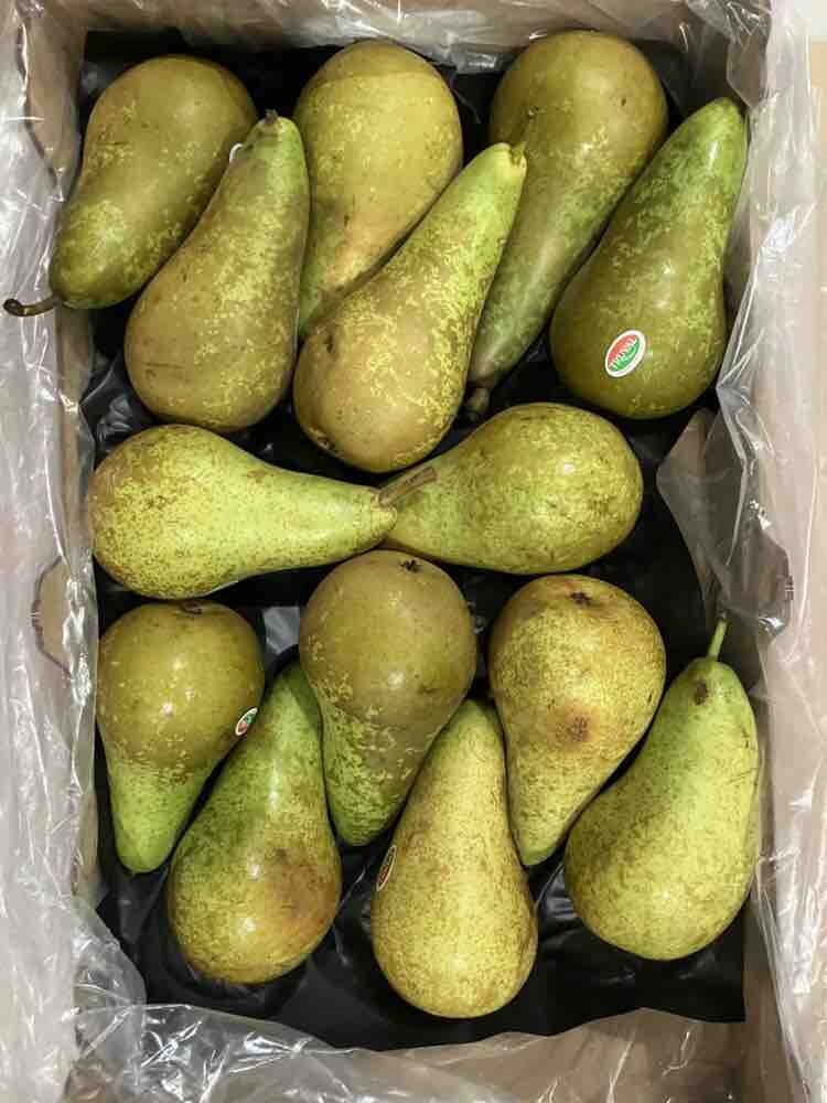 啤梨