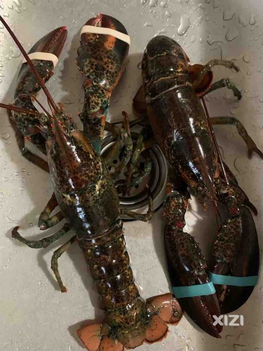 今晚波士顿搞起来