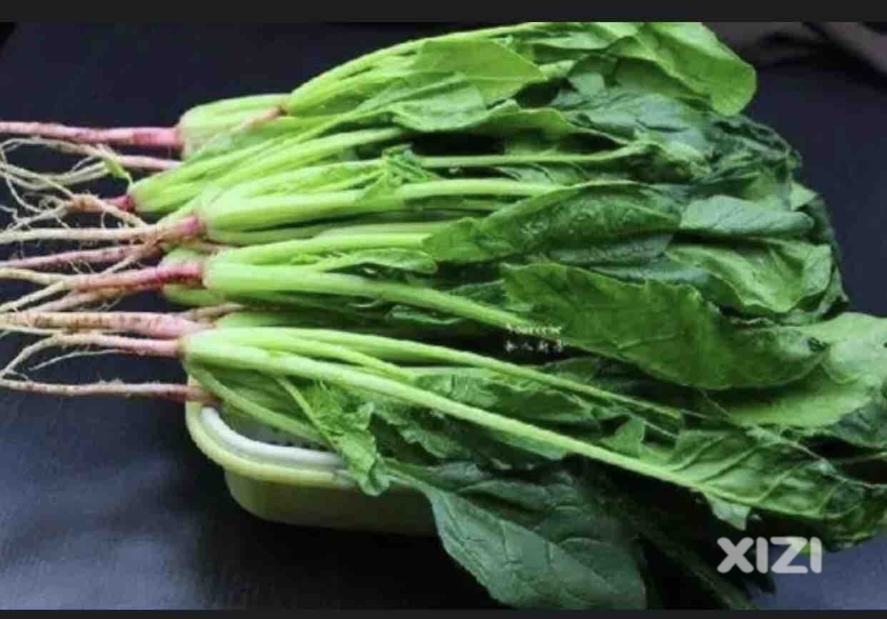 最近逛超市买菜发现有