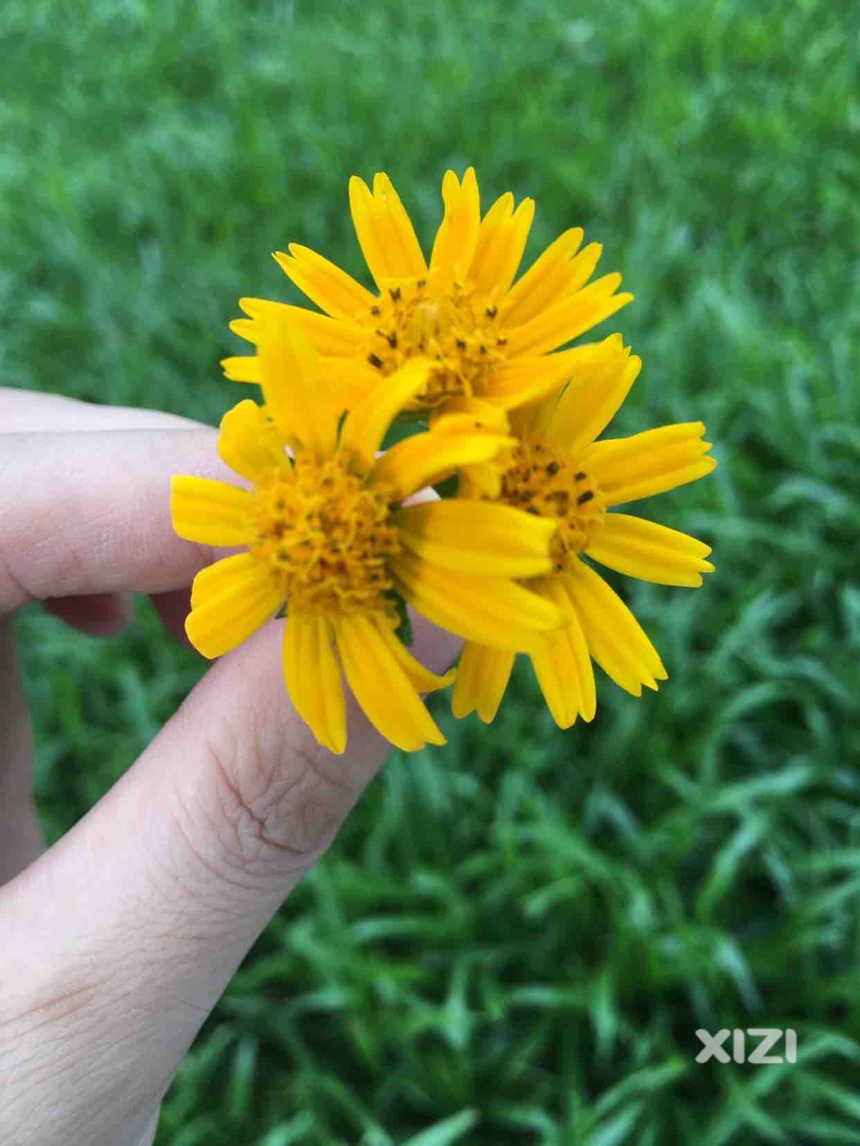 这种天气穿啥衣服好呀，一冷一热滴