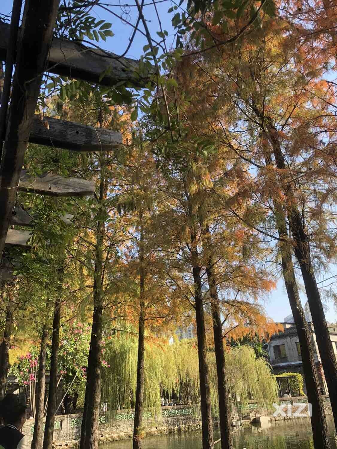 [开心][开心]