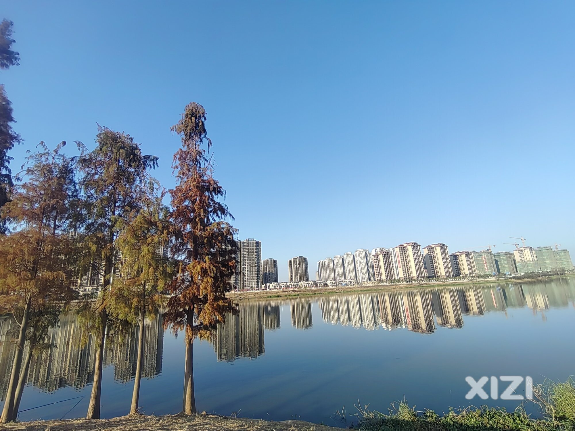 鹿江沥公园未来可期