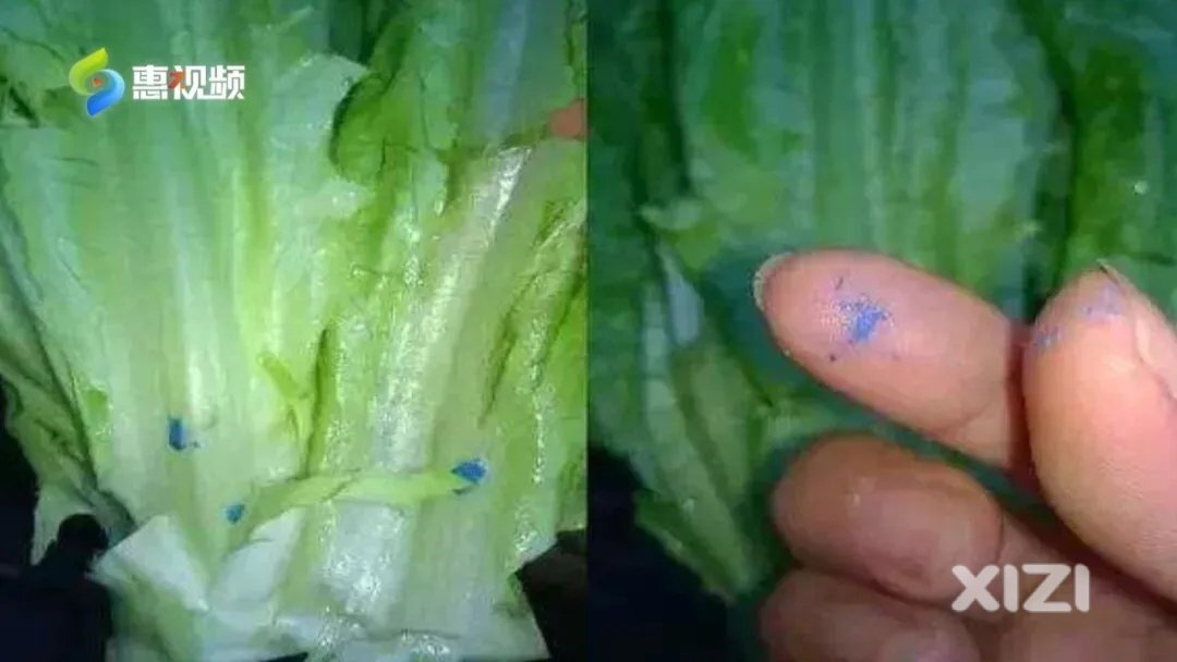 菜叶上的“蓝色颗粒” 有毒吗？买到这种菜怎么办？