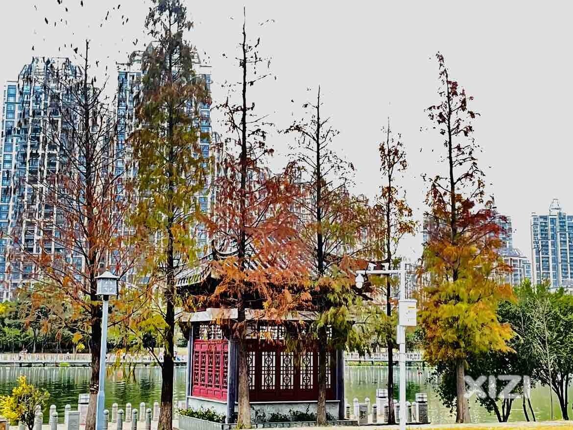 冬春交织五彩缤纷~