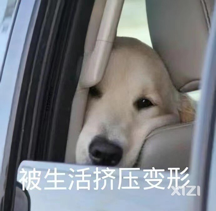 一个人在惠州