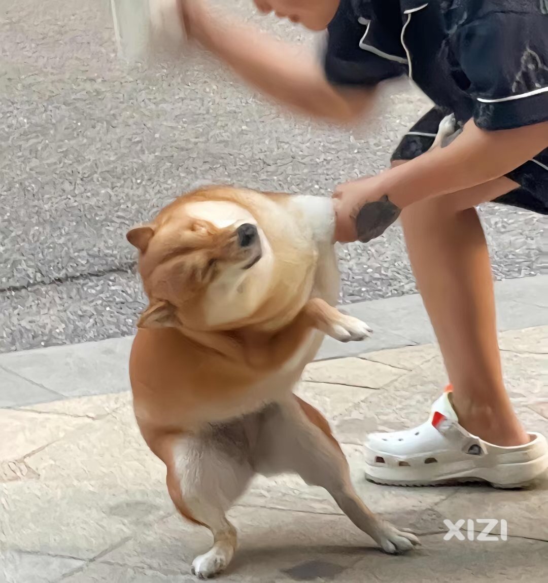 多运动真的不错。