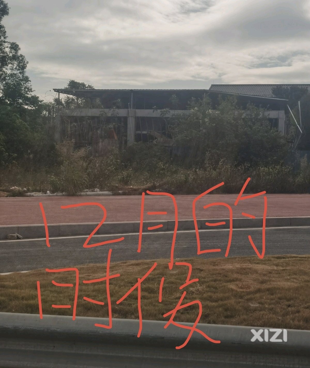 潼湖镇城管包庇违建，请上级领导主持公平
