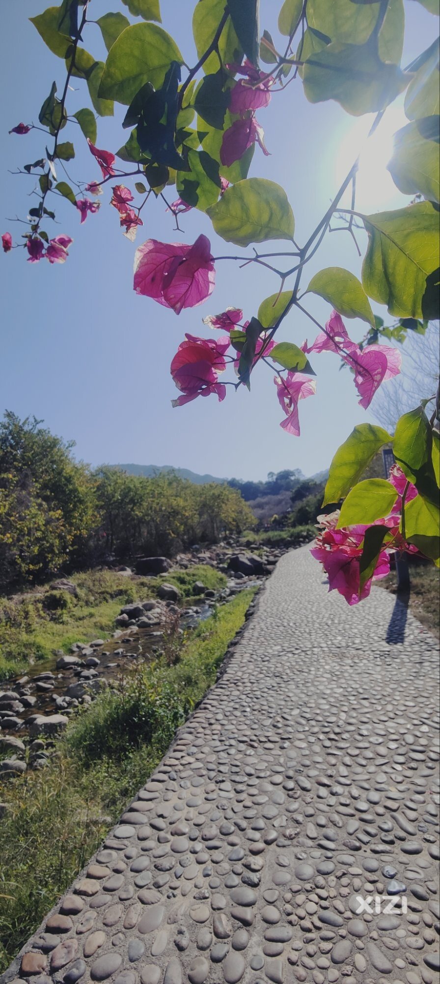 大寒季节随拍原野小溪