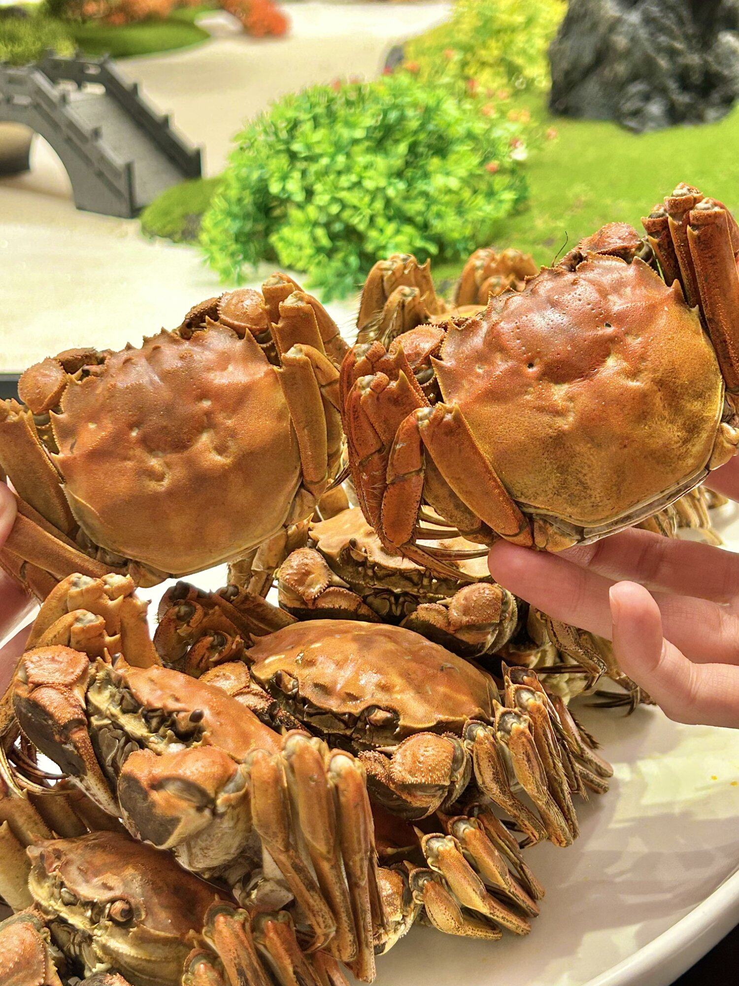 时间匆匆又忙忙
