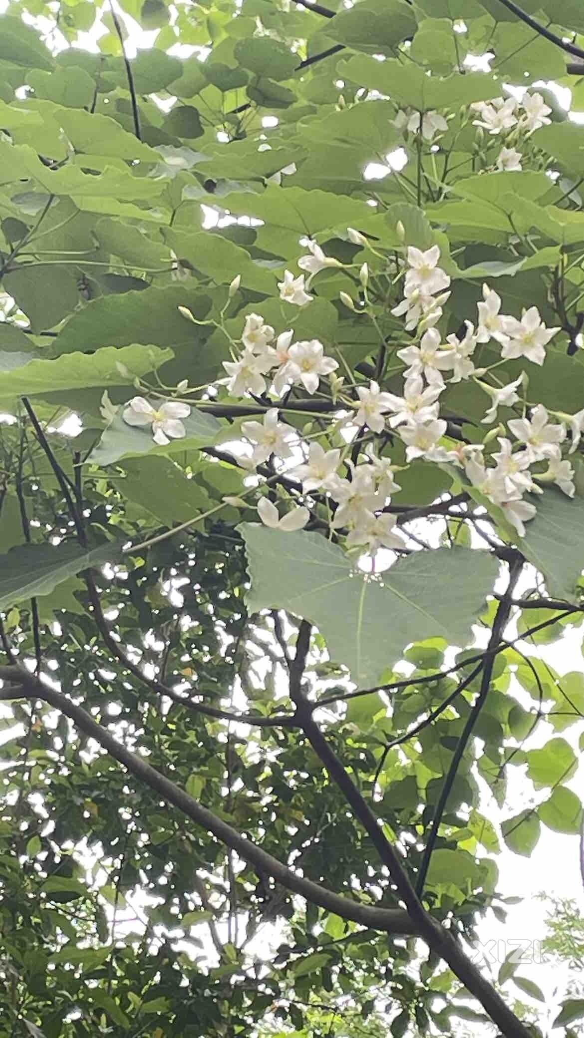 寻找春的气息