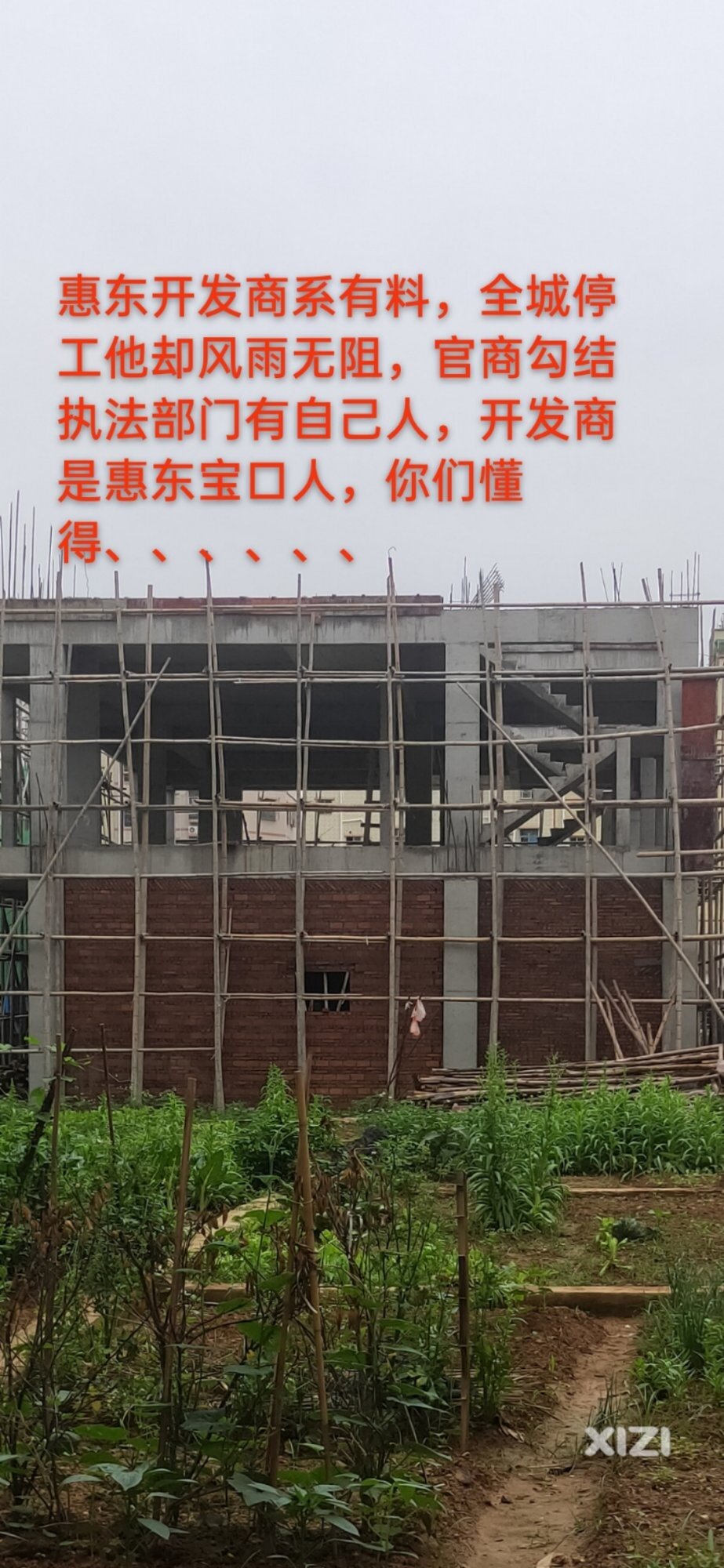 惠东违法违建风雨无阻