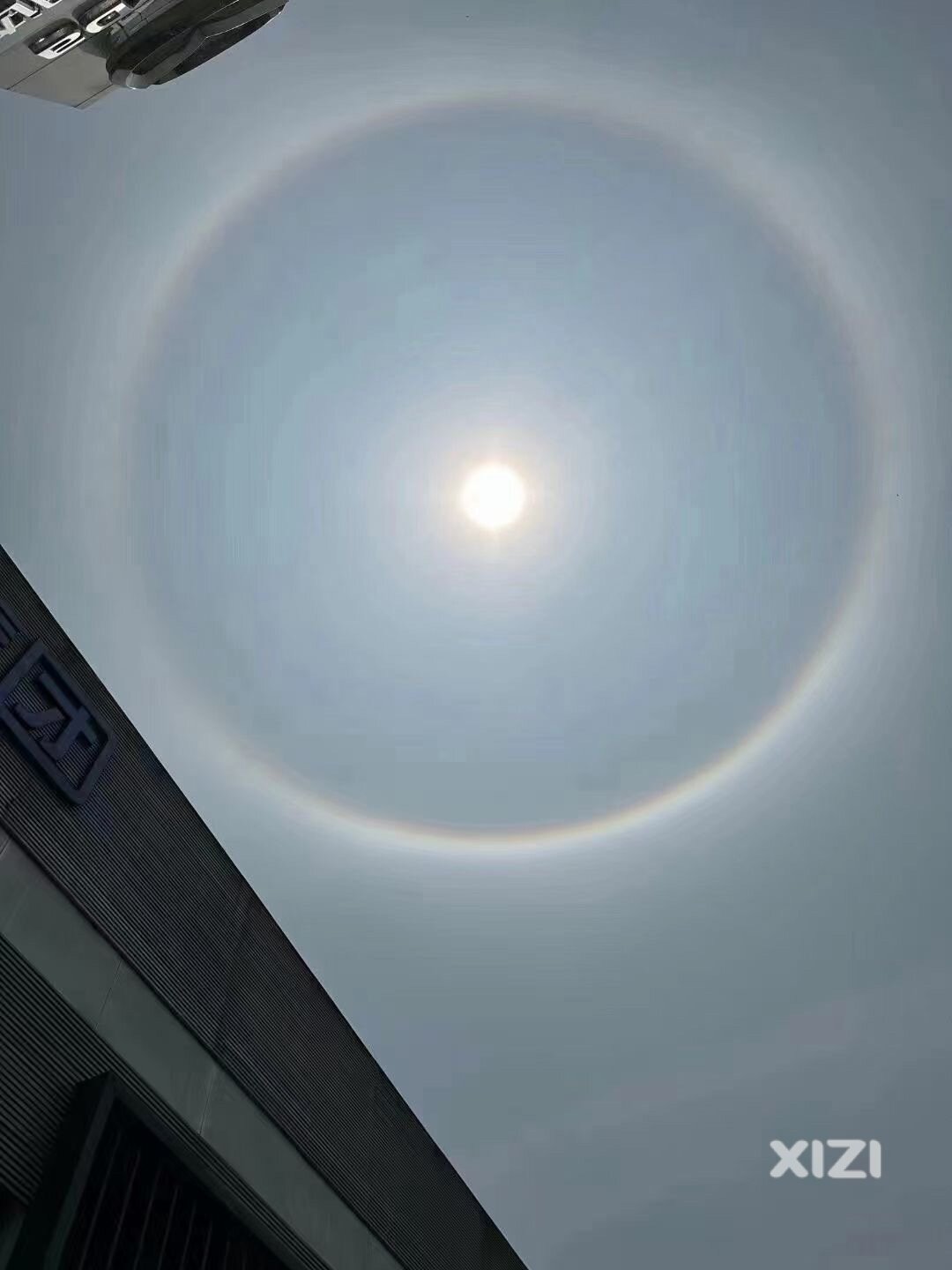 龙年龙月龙日