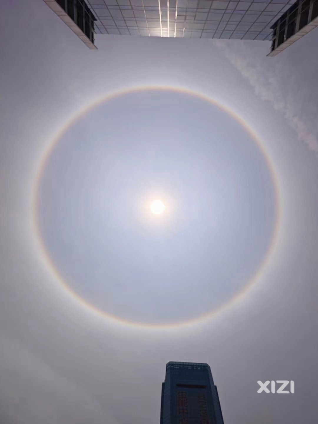整个朋友圈都在晒太阳