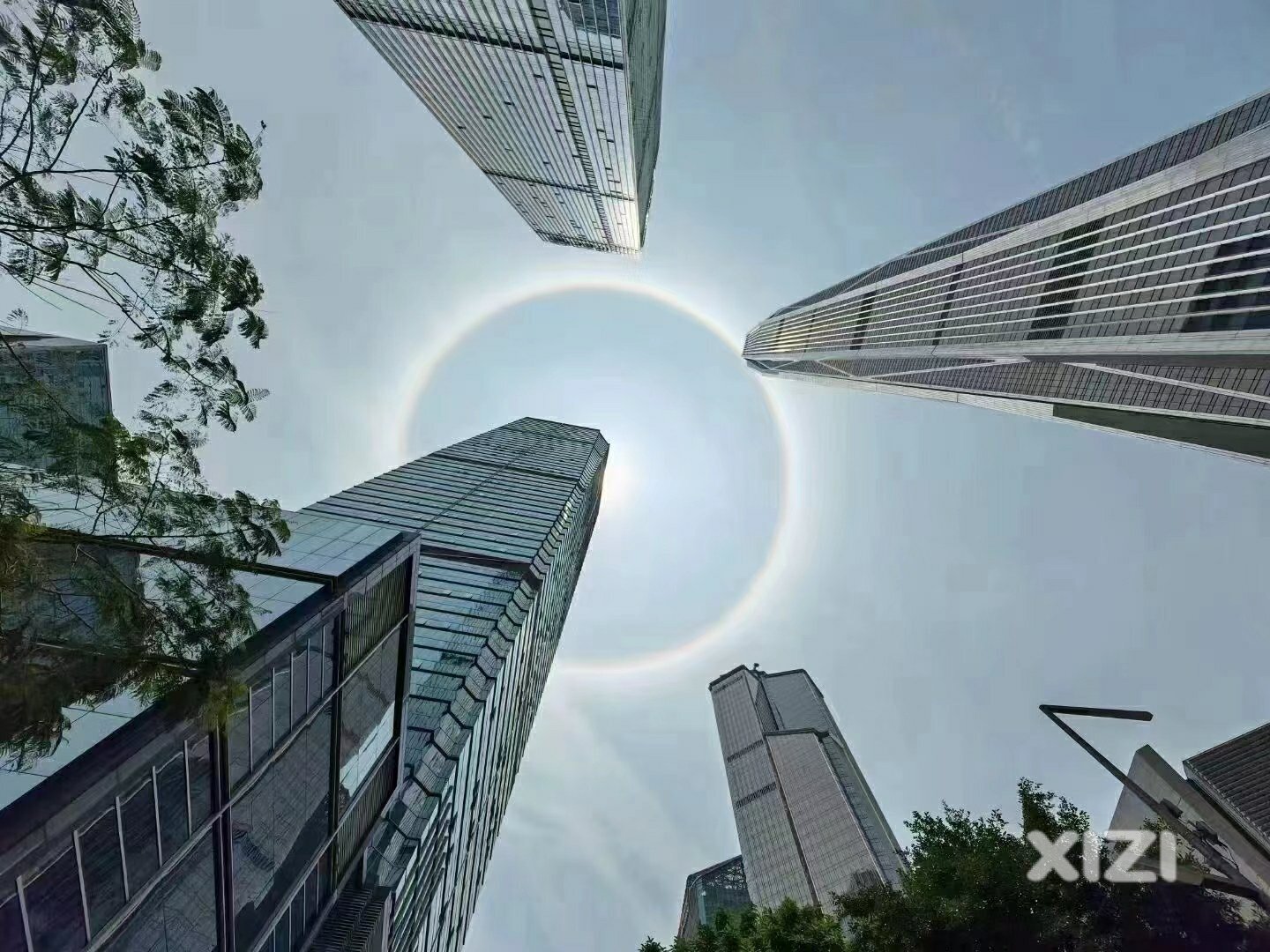 今天的深圳上空太阳如戴光环