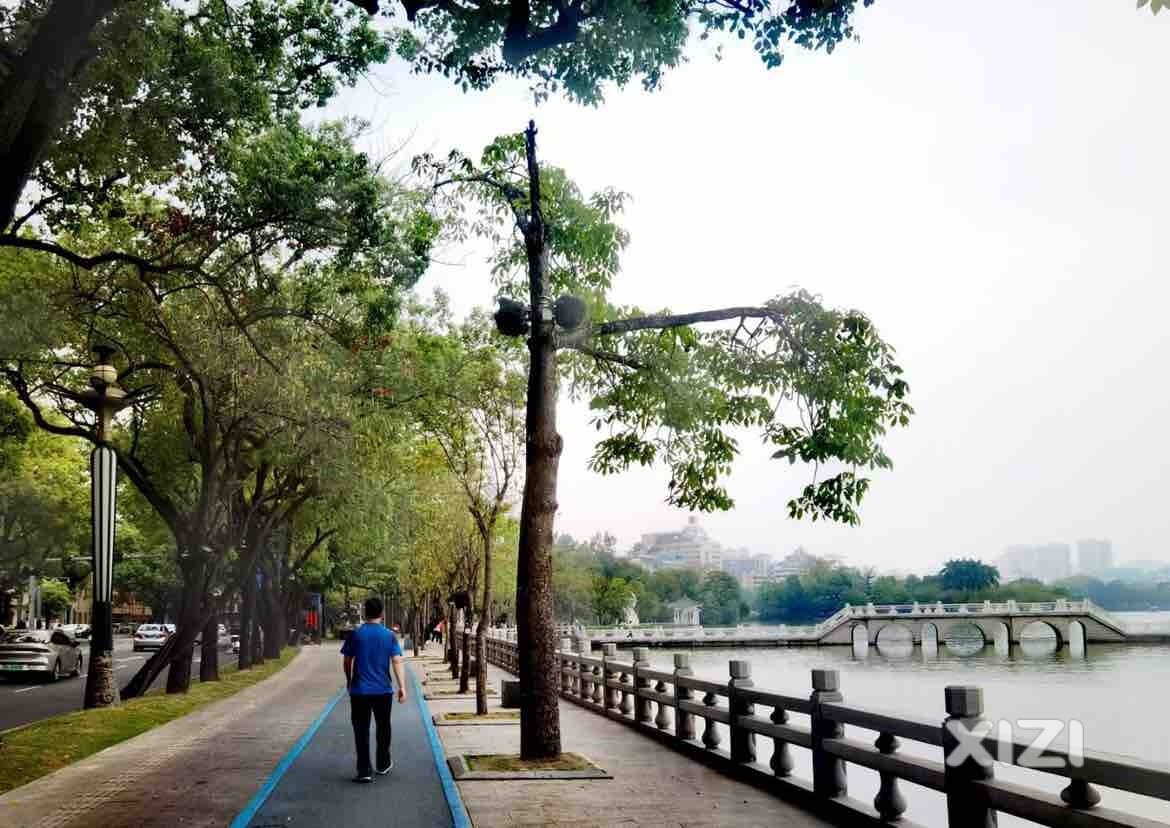 周末愉快