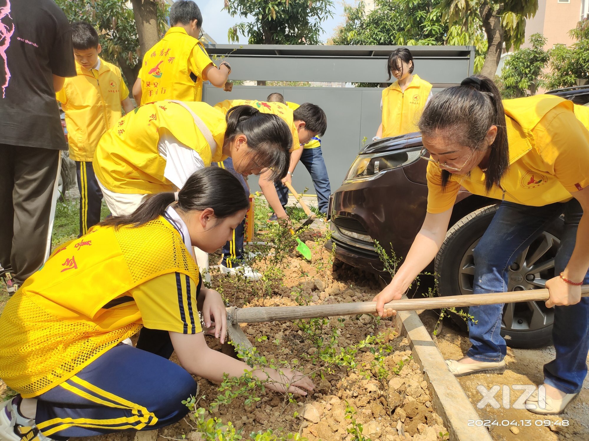 绿美家园共建绿色小区