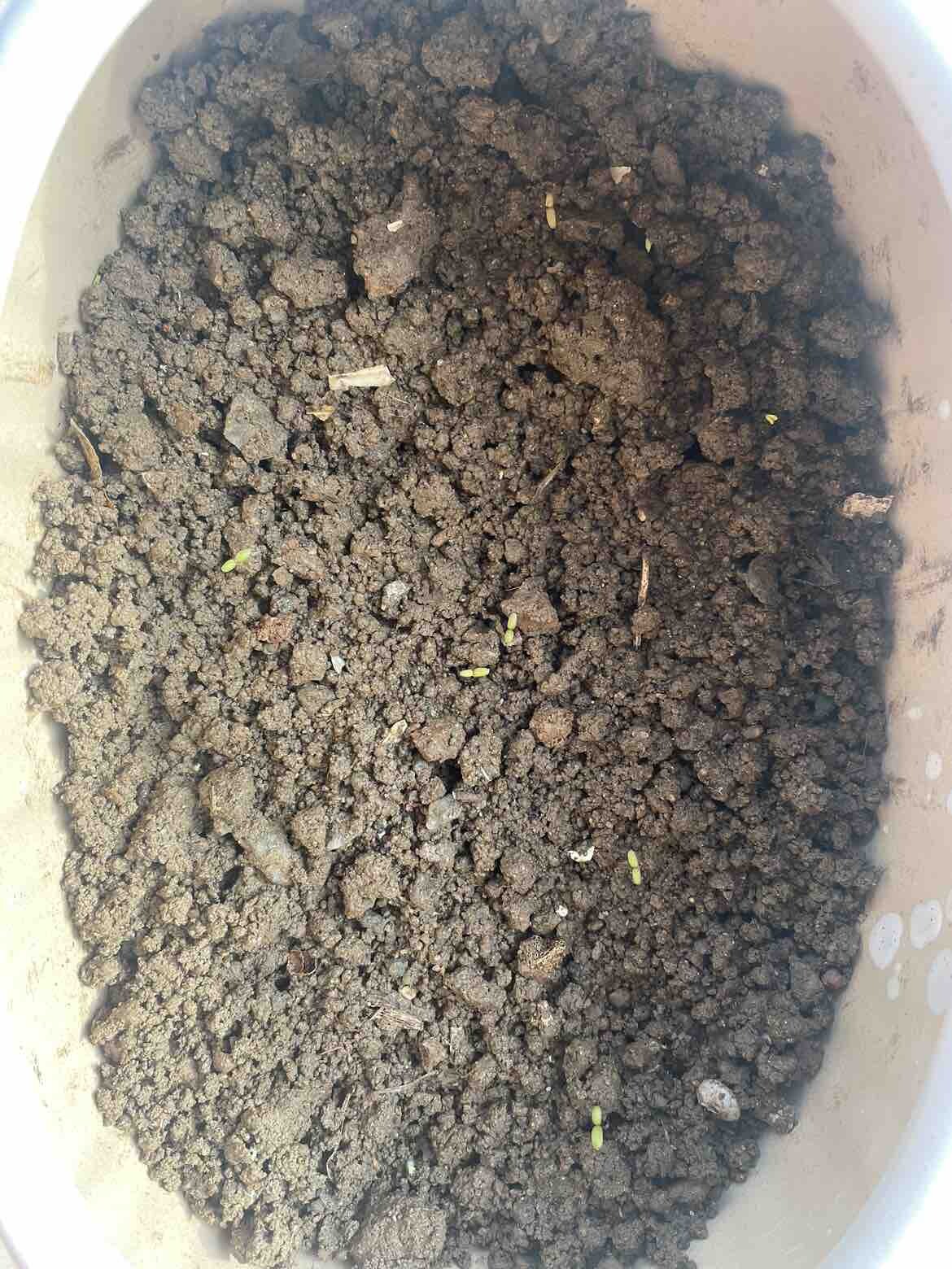 有没有懂的