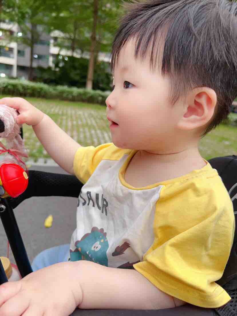 生活如此多娇