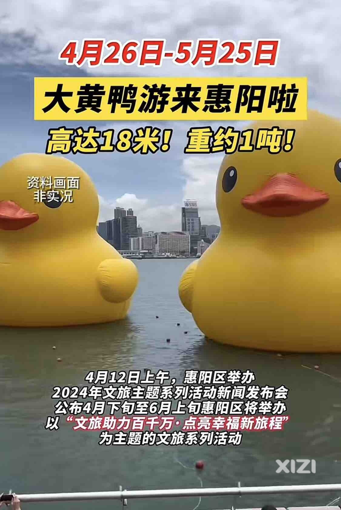 大黄鸭