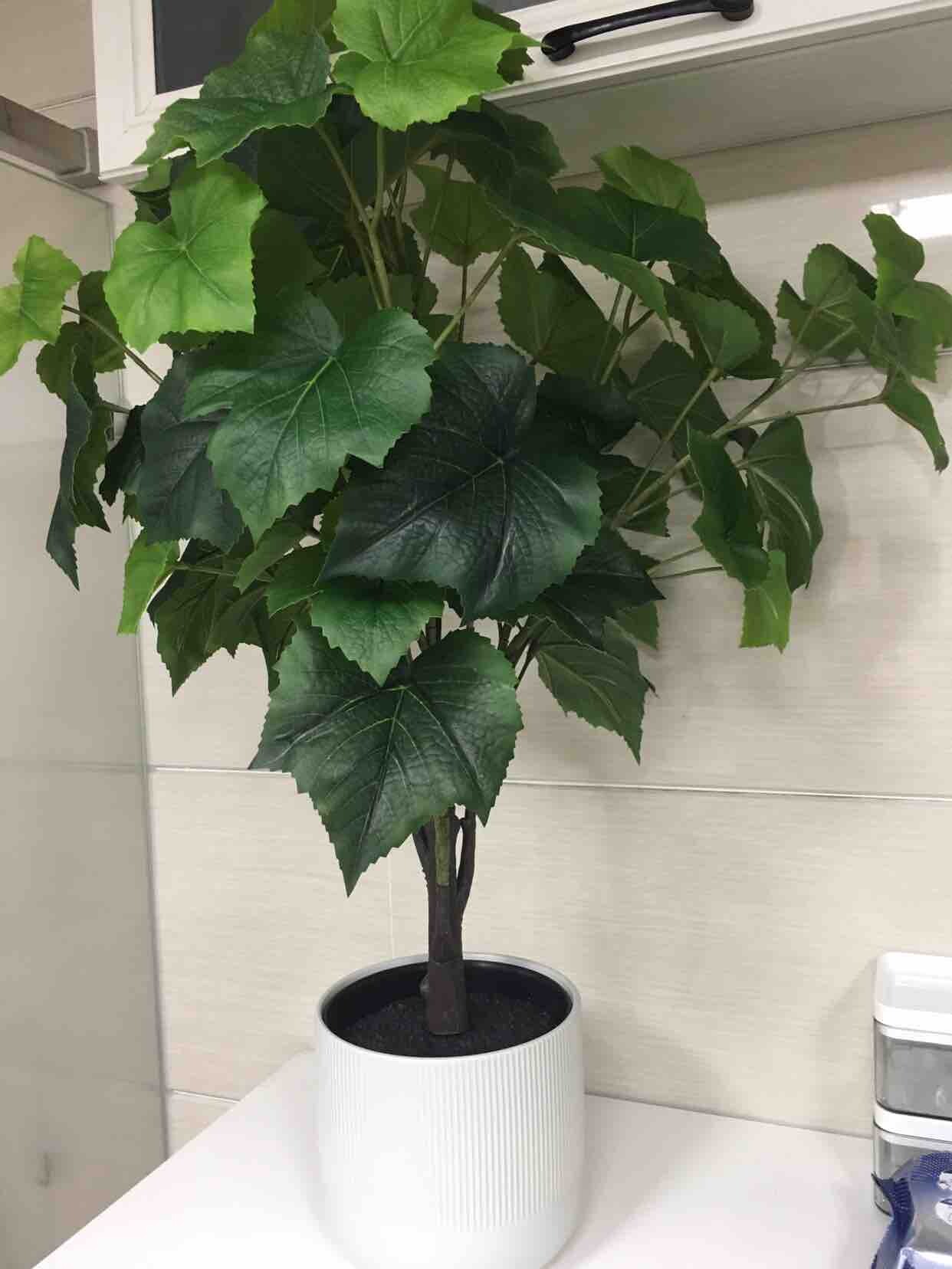 如何花钱让自己开心
