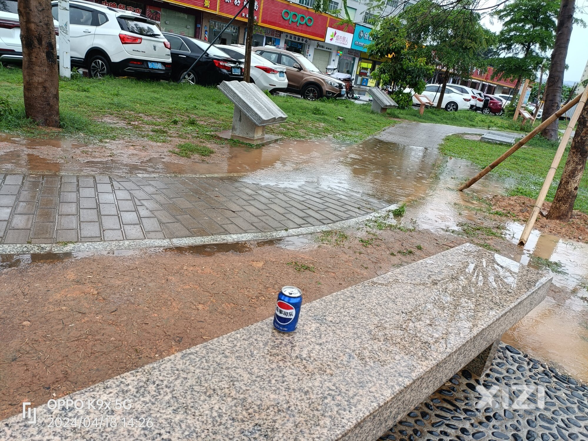 横风横雨……角子忙着检