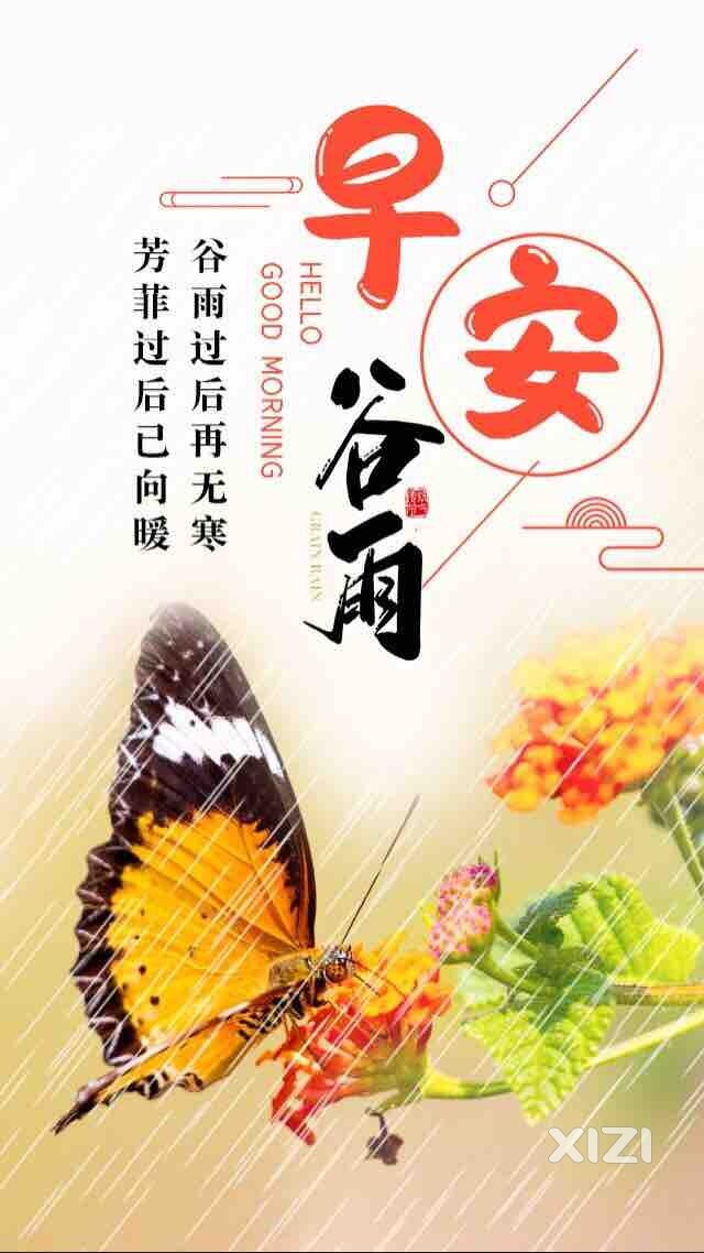 今日谷雨