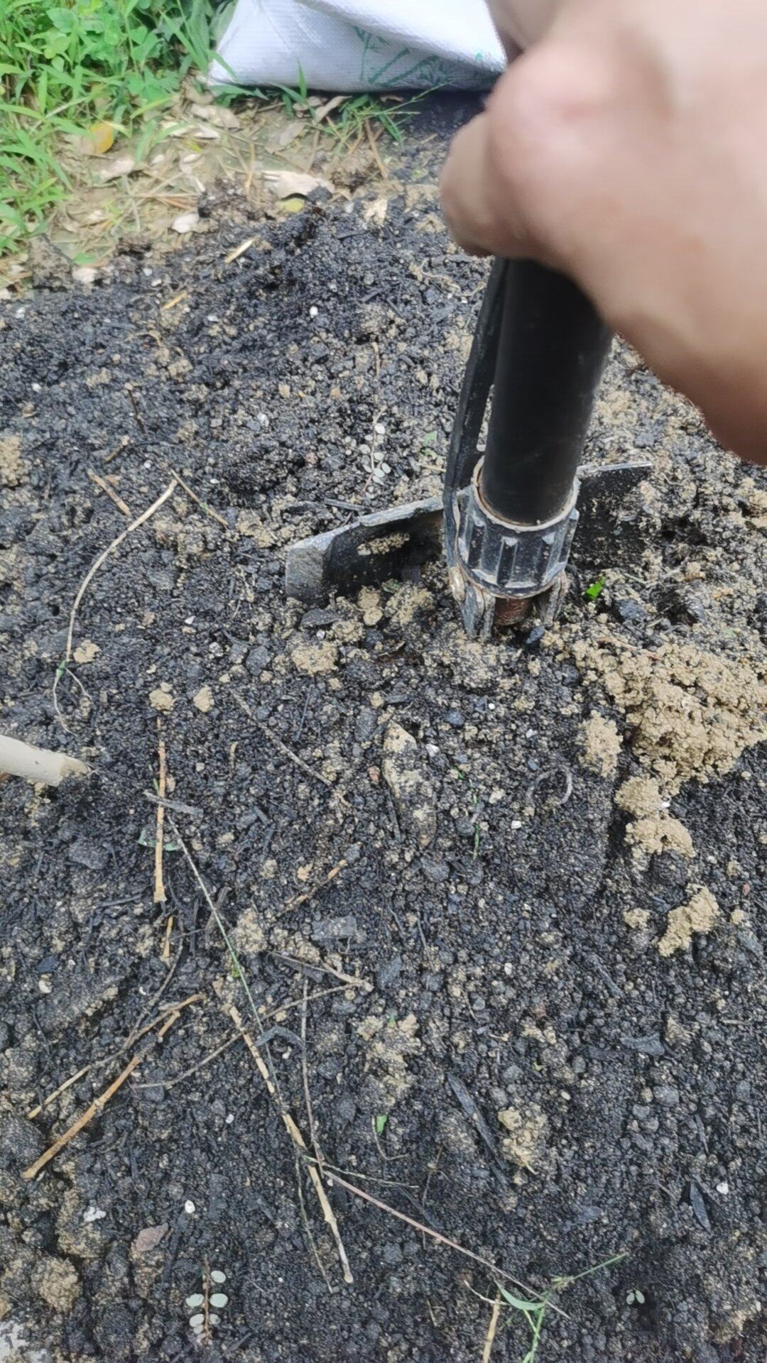 雨生百谷  春润万物