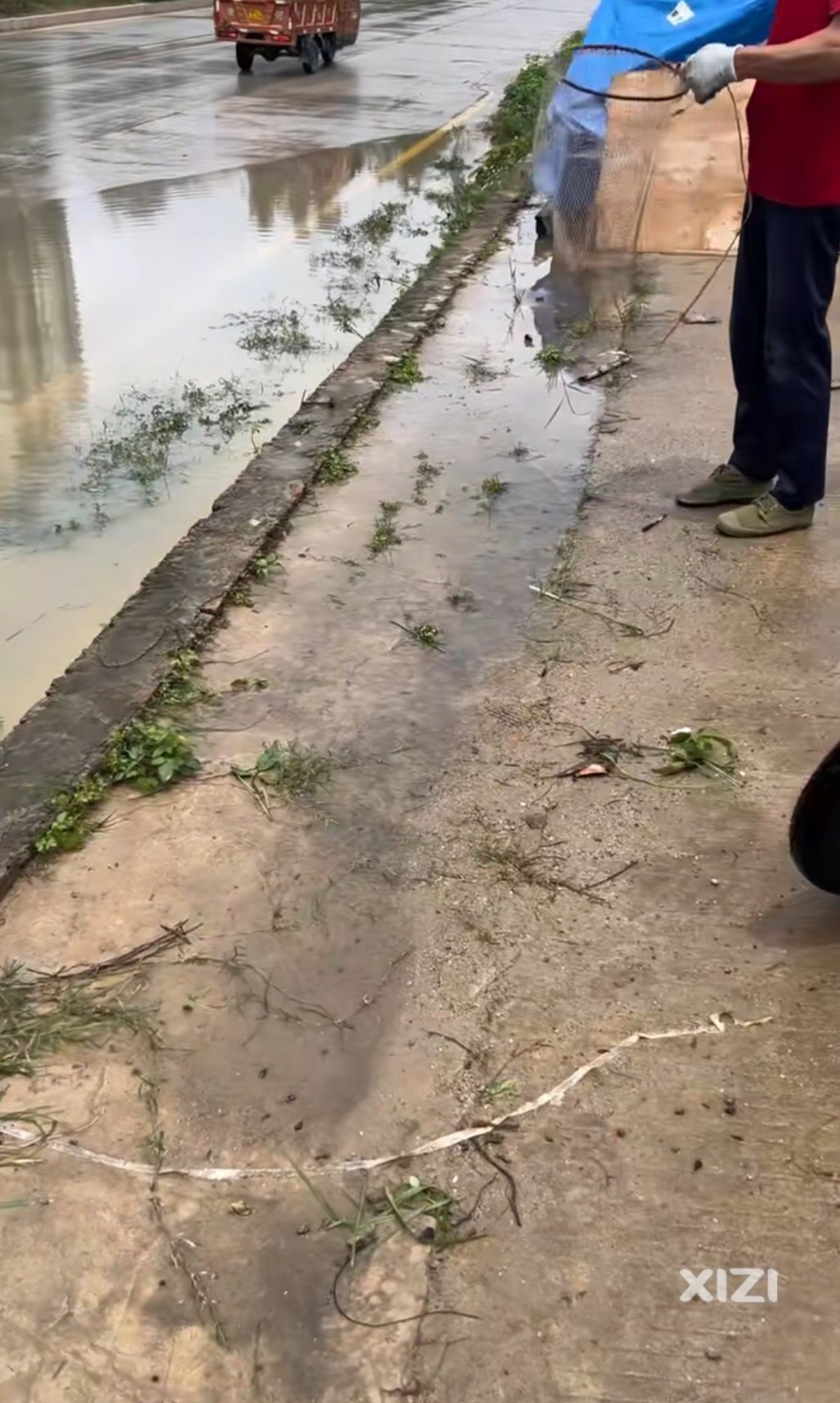 看来雨真计落到好大。环城南路也有鱼抓了。