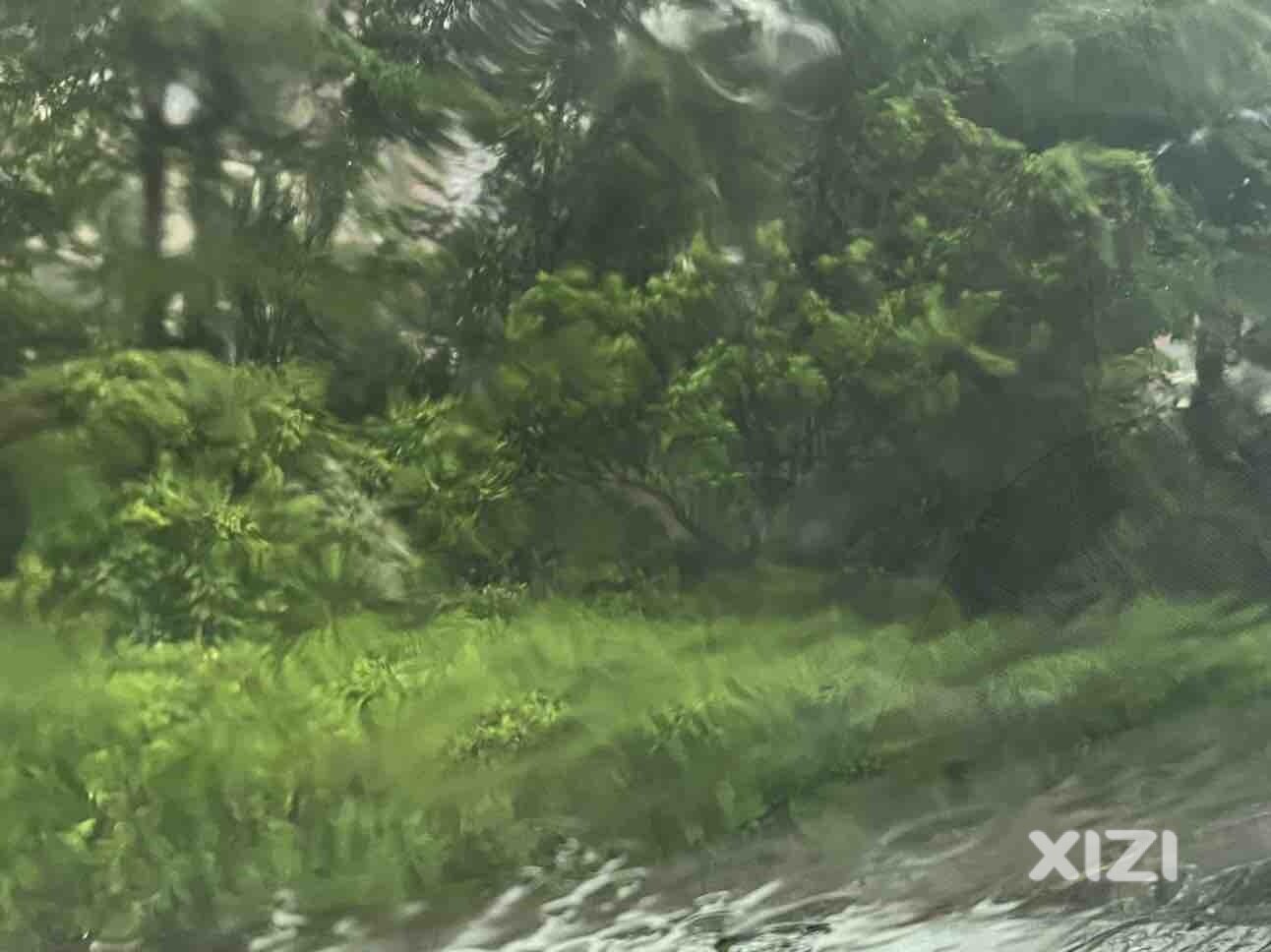 落大水