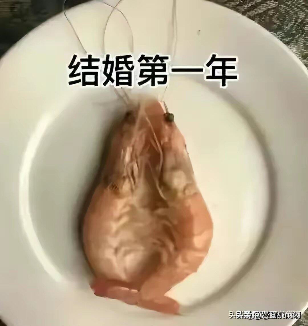 差点没把我笑趴哈哈哈