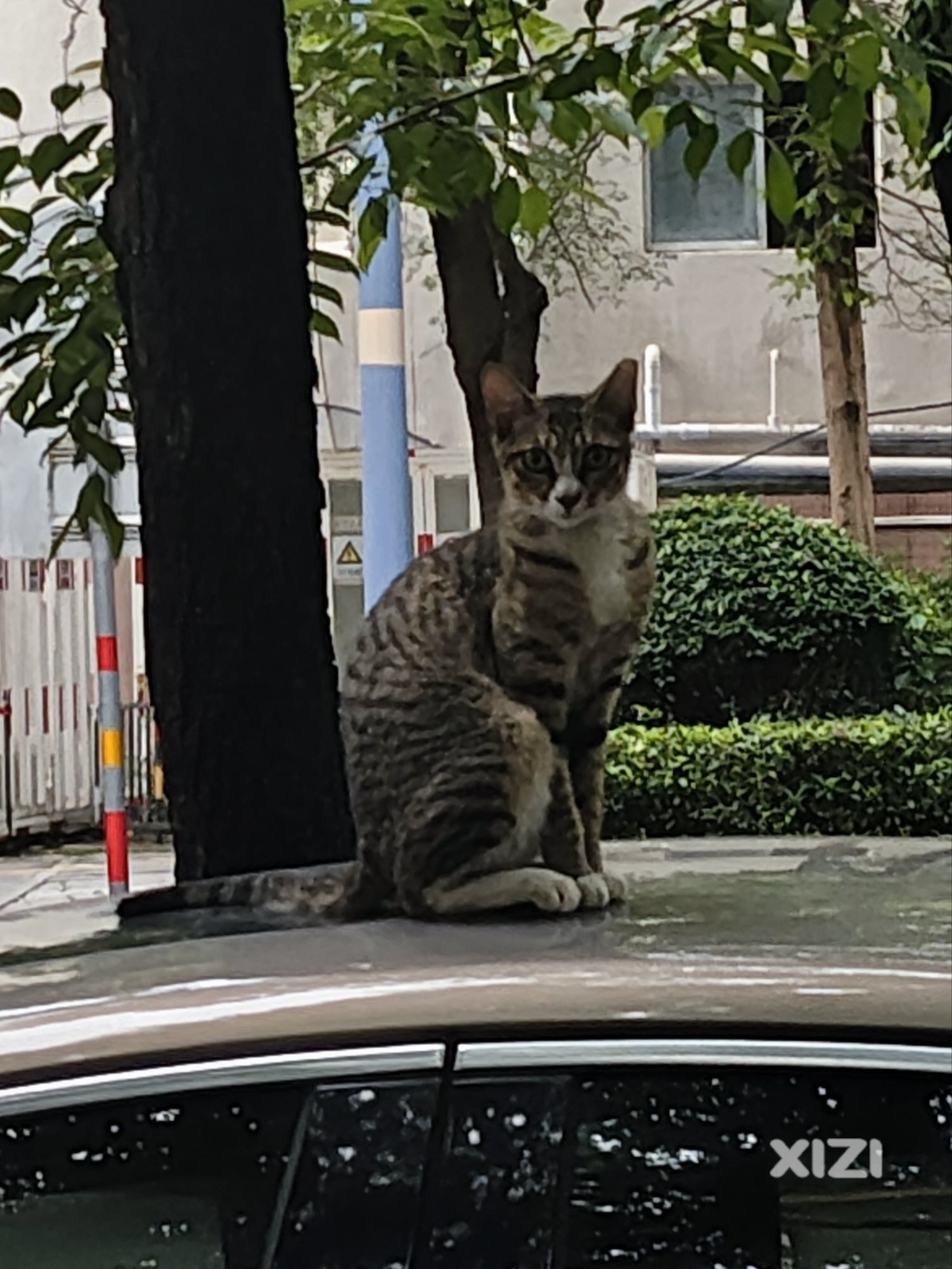 严肃点