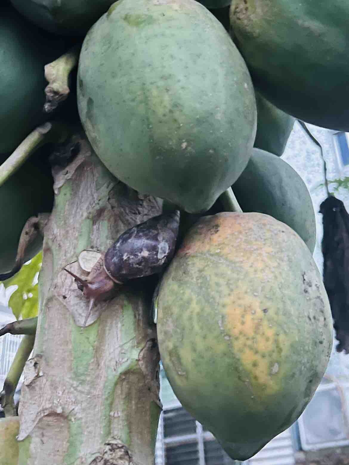 过分了啊