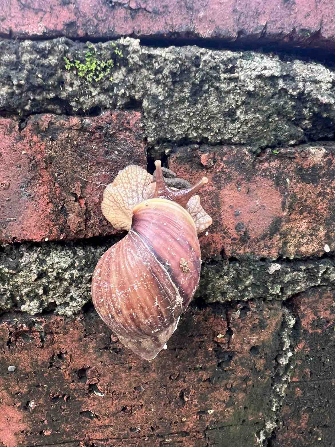 饭后时光