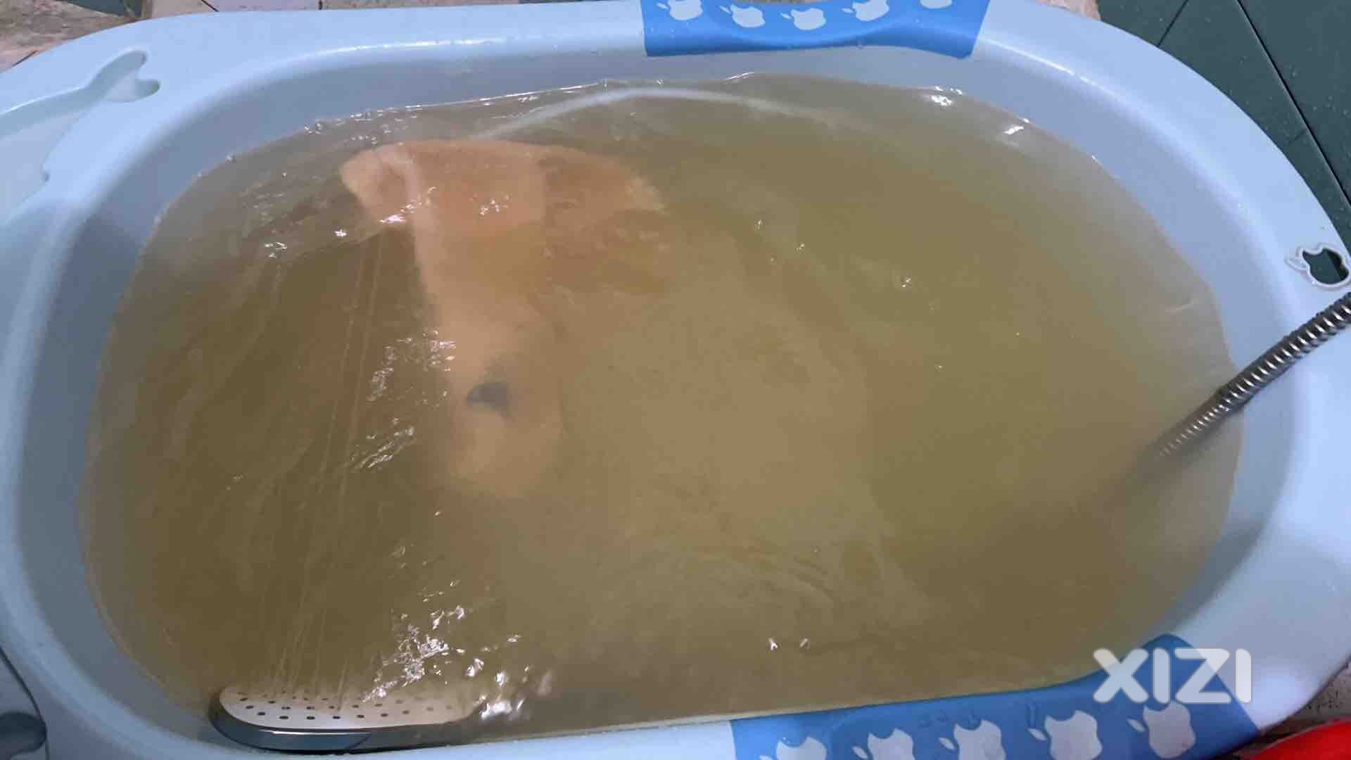 自来水都“诡异了”
