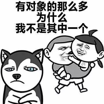 有凑对的么