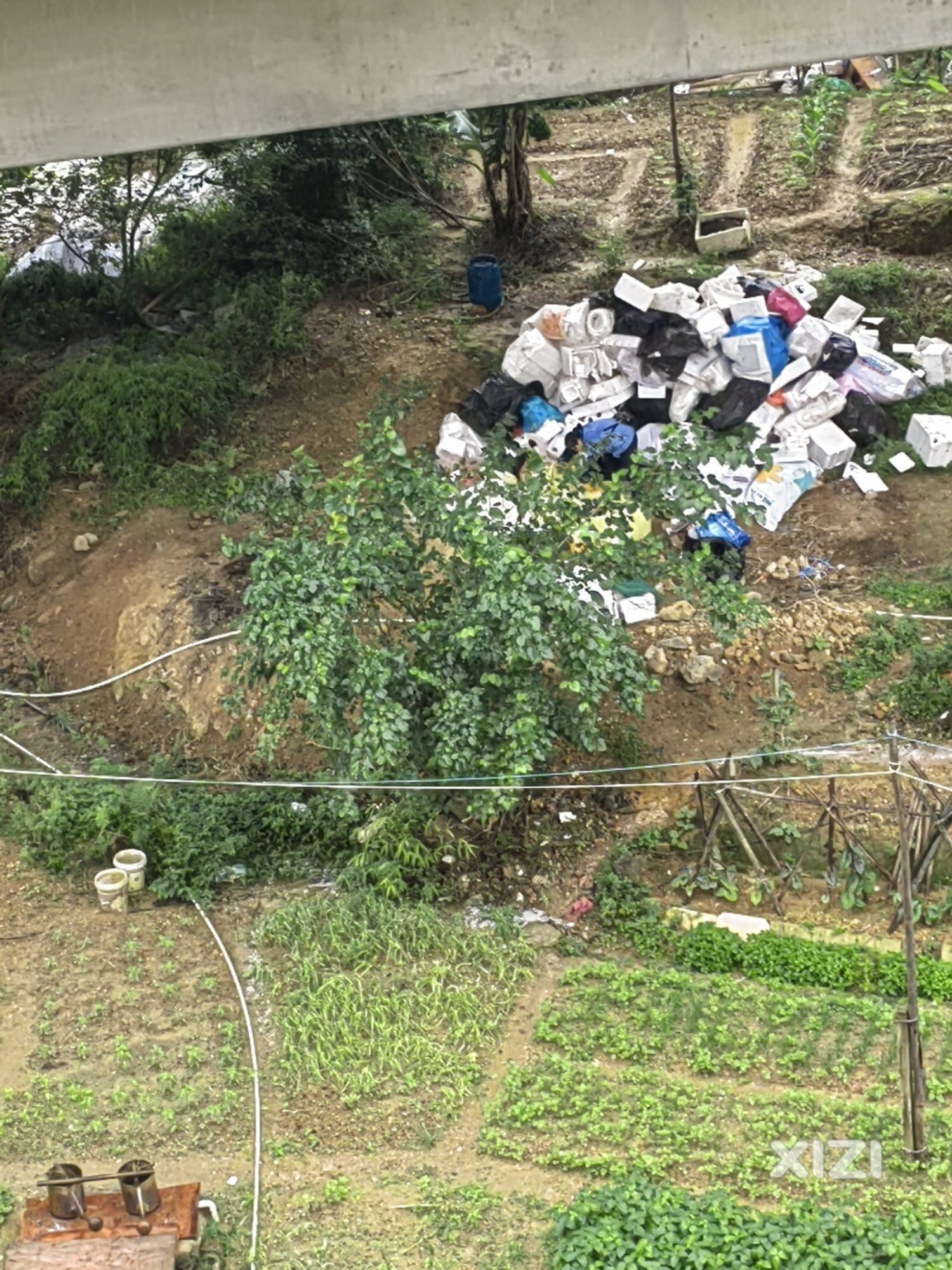 新桥村石陂坑铁路桥下又堆垃圾了。