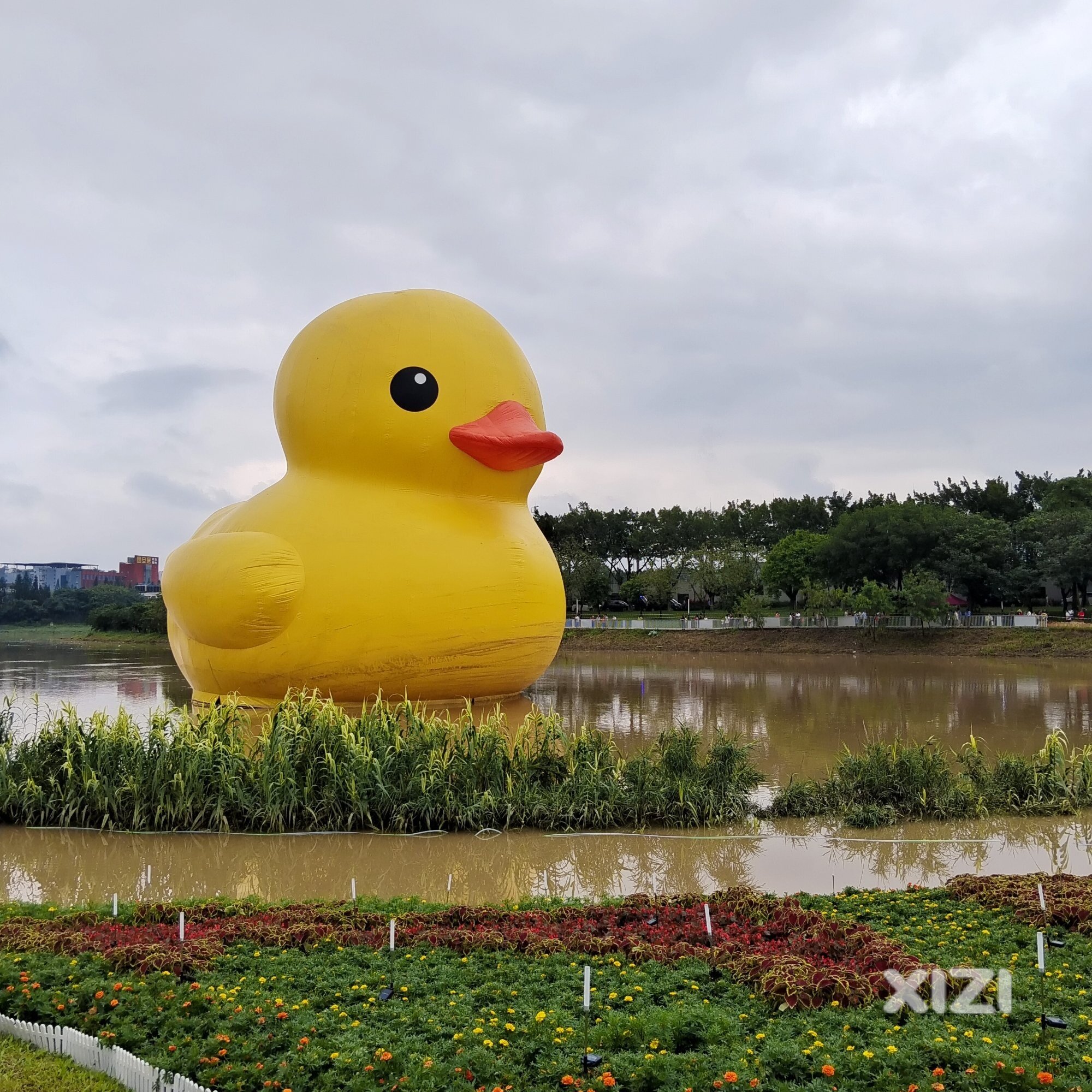 打卡