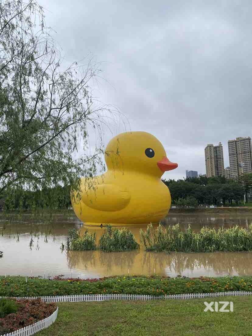 大黄鸭