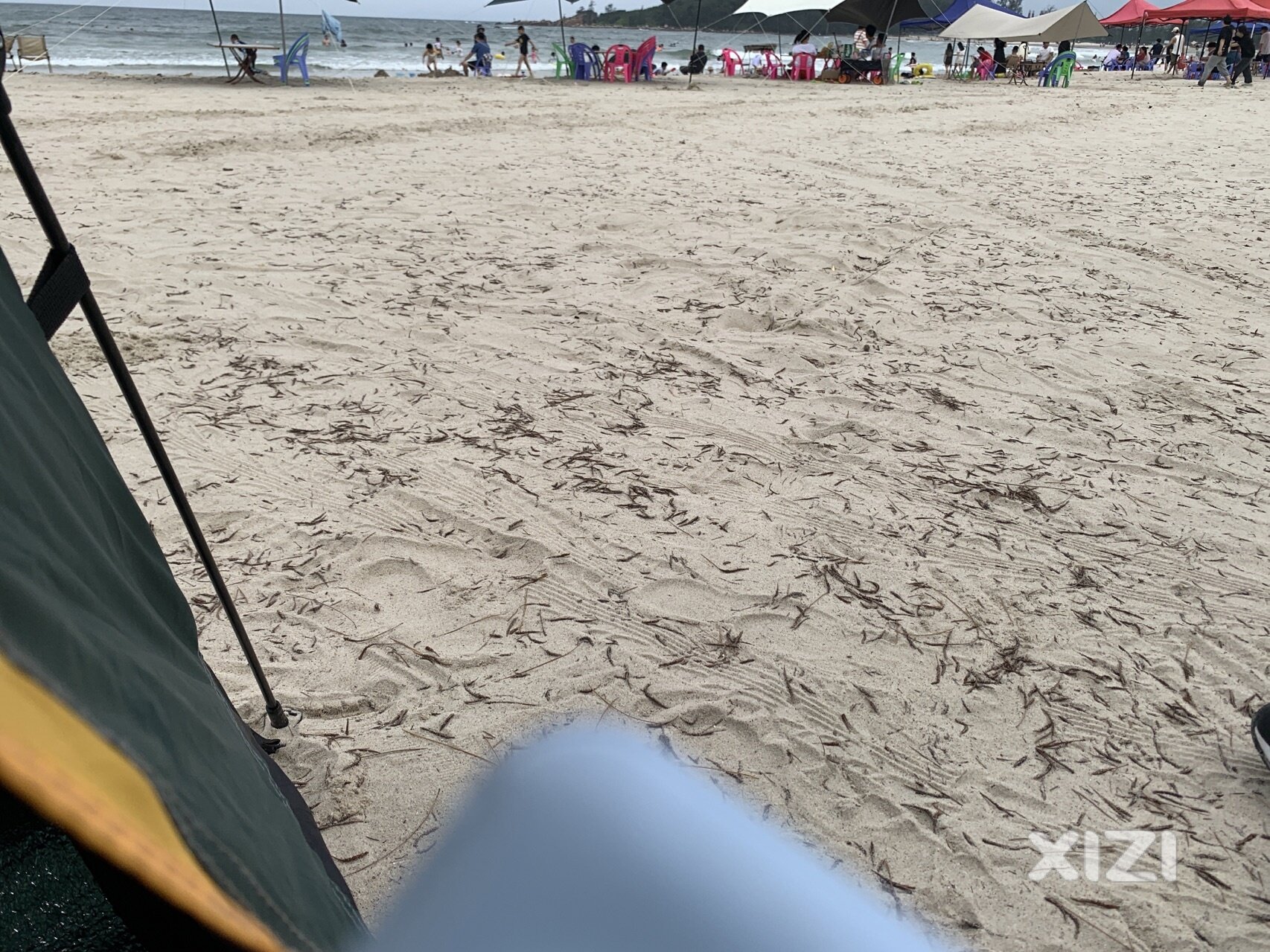 海边个人自带帐篷露营被收费合理吗
