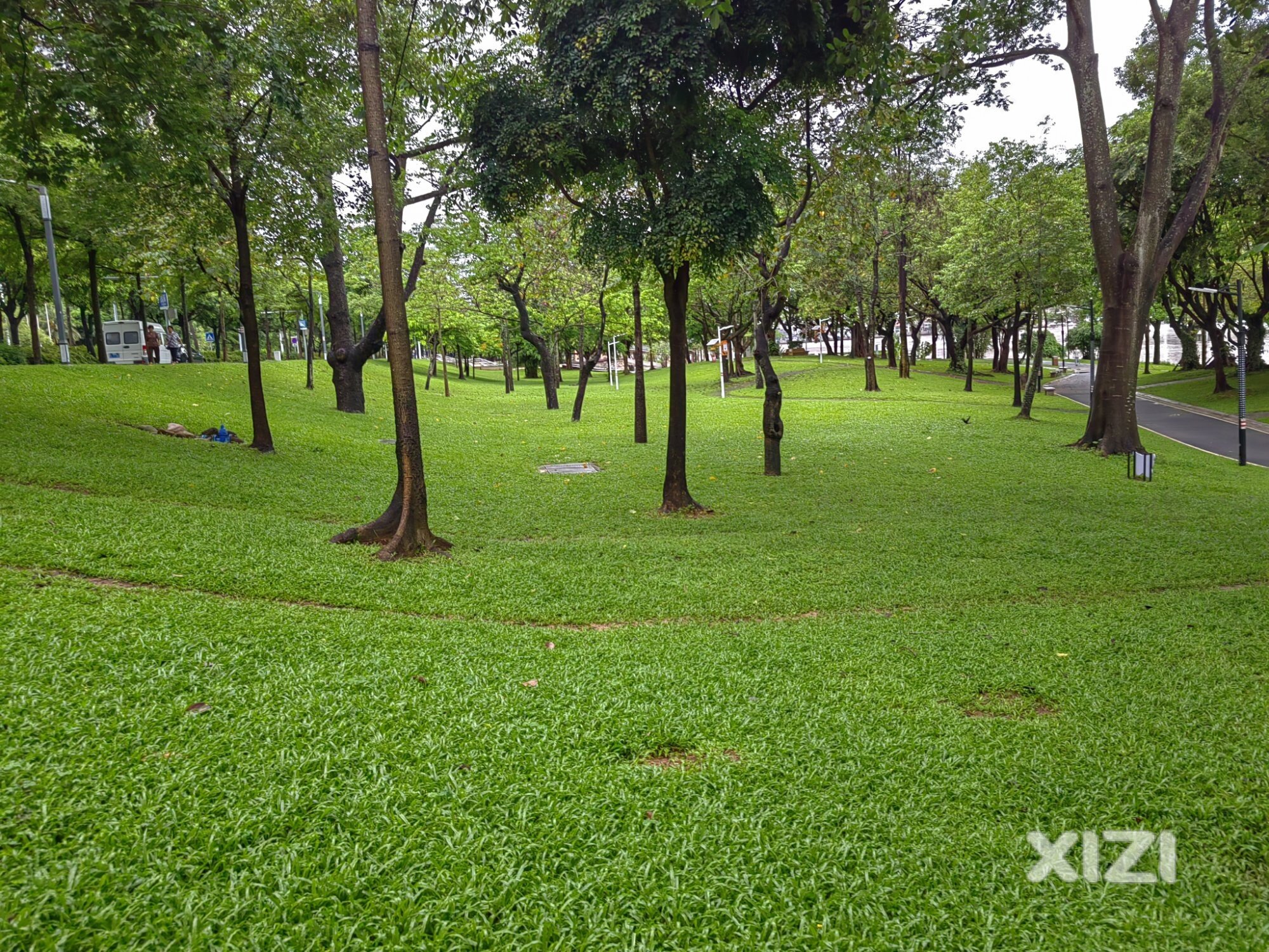 最爱这里的翡翠绿草地